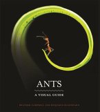 Ants (eBook, ePUB)