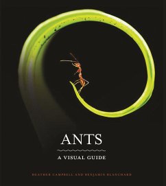 Ants (eBook, ePUB) - Campbell, Heather; Blanchard, Benjamin