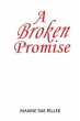 A broken Promise (eBook, ePUB) - Bild 1