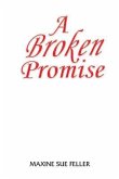 A broken Promise (eBook, ePUB)