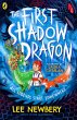 The First Shadowdragon (eBook, ePUB) - Bild 1