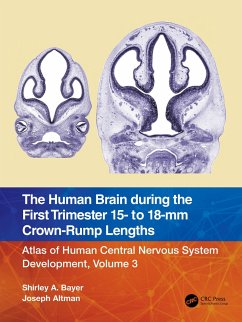 The Human Brain during the First Trimester 15- to 18-mm Crown-Rump Lengths - Bayer, Shirley A.; Altman, Joseph