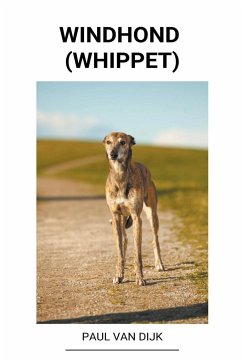 Windhond (Whippet) - Dijk, Paul van