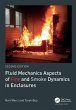 Fluid Mechanics Aspects of Fire and... - Bild 1