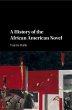 A History of the African American Novel - Bild 1