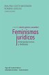 Feminismos jurídicos interpelaciones y... - Bild 1