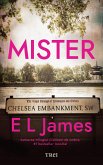 Mister (eBook, ePUB)