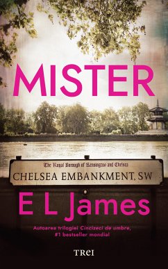 Mister (eBook, ePUB) - James, E L