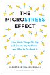 The Microstress Effect - Bild 1
