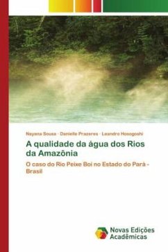 A qualidade da água dos Rios da Amazônia - Sousa, Nayana;Prazeres, Danielle;Hosogoshi, Leandro