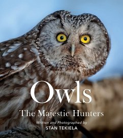 Owls - Tekiela, Stan