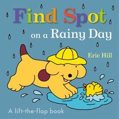 Find Spot on a Rainy Day - Hill, Eric