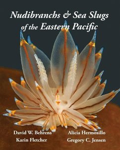 Nudibranchs & Sea Slugs of the Eastern Pacific - Behrens, David W.; Fletcher, Karin; Jensen, Gregory C