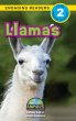 Llamas - Bild 1