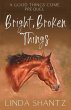 Bright, Broken Things - Bild 1