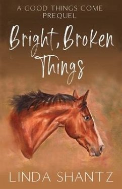 Bright, Broken Things - Shantz, Linda