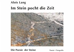 Im Stein pocht die Zeit (eBook, ePUB) - Lang, Alois; Lang, Ana