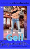 Sexgeschichten - Erotik gegen die Langeweile (eBook, ePUB)