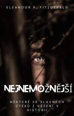 Cover NejnemoznejSí: Nekteré ze slavných úteku z vezení v historii (eBook, ePUB)