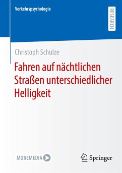 Fahren auf nächtlichen Straßen unterschiedlicher Helligkeit - Schulze, Christoph