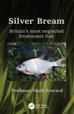 Silver Bream (eBook, PDF) - Everard, Mark