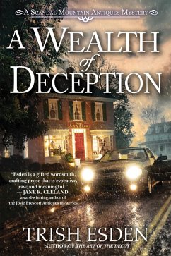 Cover A Wealth of Deception (eBook, ePUB)