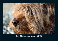 Der Hundekalender 2023 Fotokalender DIN A5 - Tobias Becker