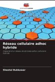 Réseau cellulaire adhoc hybride