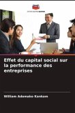 Effet du capital social sur la performance des entreprises