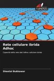 Rete cellulare ibrida Adhoc