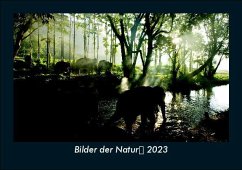 Bilder der Natur 2023 Fotokalender DIN A5 - Tobias Becker