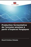 Production fermentative de l'enzyme amylase à partir d'espèces fongiques