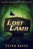 Lost Lamb (eBook, ePUB)