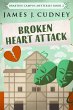 Broken Heart Attack (eBook, ePUB) - Bild 1