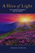 A Slice of Light (eBook, ePUB) - Bild 1