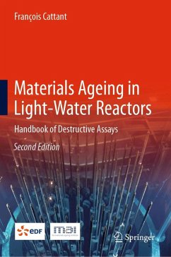 Materials Ageing in Light-Water Reactors (eBook, PDF) - Cattant, François