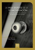 La vida después de la desmovilización: percepciones, emociones y estrategias de exparamilitares en Colombia (eBook, PDF)