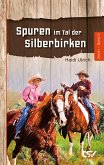 Spuren im Tal der Silberbirken (eBook, ePUB)