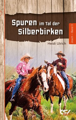 Spuren im Tal der Silberbirken (eBook, ePUB) - Ulrich, Heidi