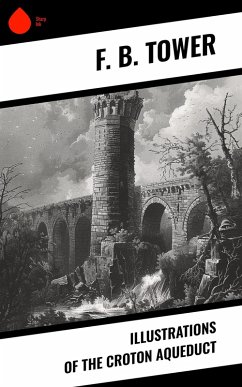 Cover Illustrations of the Croton Aqueduct (eBook, ePUB)