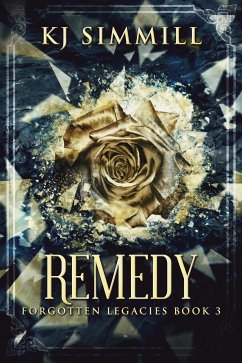 Remedy (eBook, ePUB) - Simmill, KJ