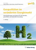 Gasqualitäten im veränderten Energiemarkt (eBook, PDF)