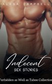 Indecent Sex Stories (eBook, ePUB)