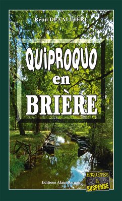 Quiproquo en Brière (eBook, ePUB) - Devallière, Rémi