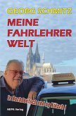 Meine Fahrlehrer Welt (eBook, ePUB)