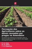 Percepção dos Agricultores sobre os danos causados por pragas no Amendoim