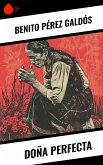 Doña Perfecta (eBook, ePUB)
