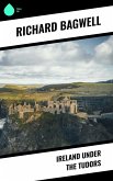 Ireland under the Tudors (eBook, ePUB)