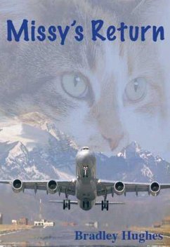 Cover Missy's Return (eBook, ePUB)