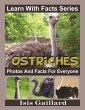 Ostriches Photos and Facts for Everyone... - Bild 1